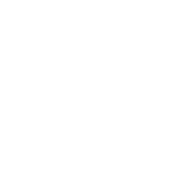 La stella a otto punte del logo Agarthi